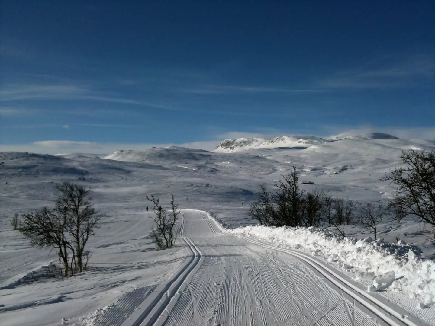 Cross-country slope on Geilotoppen