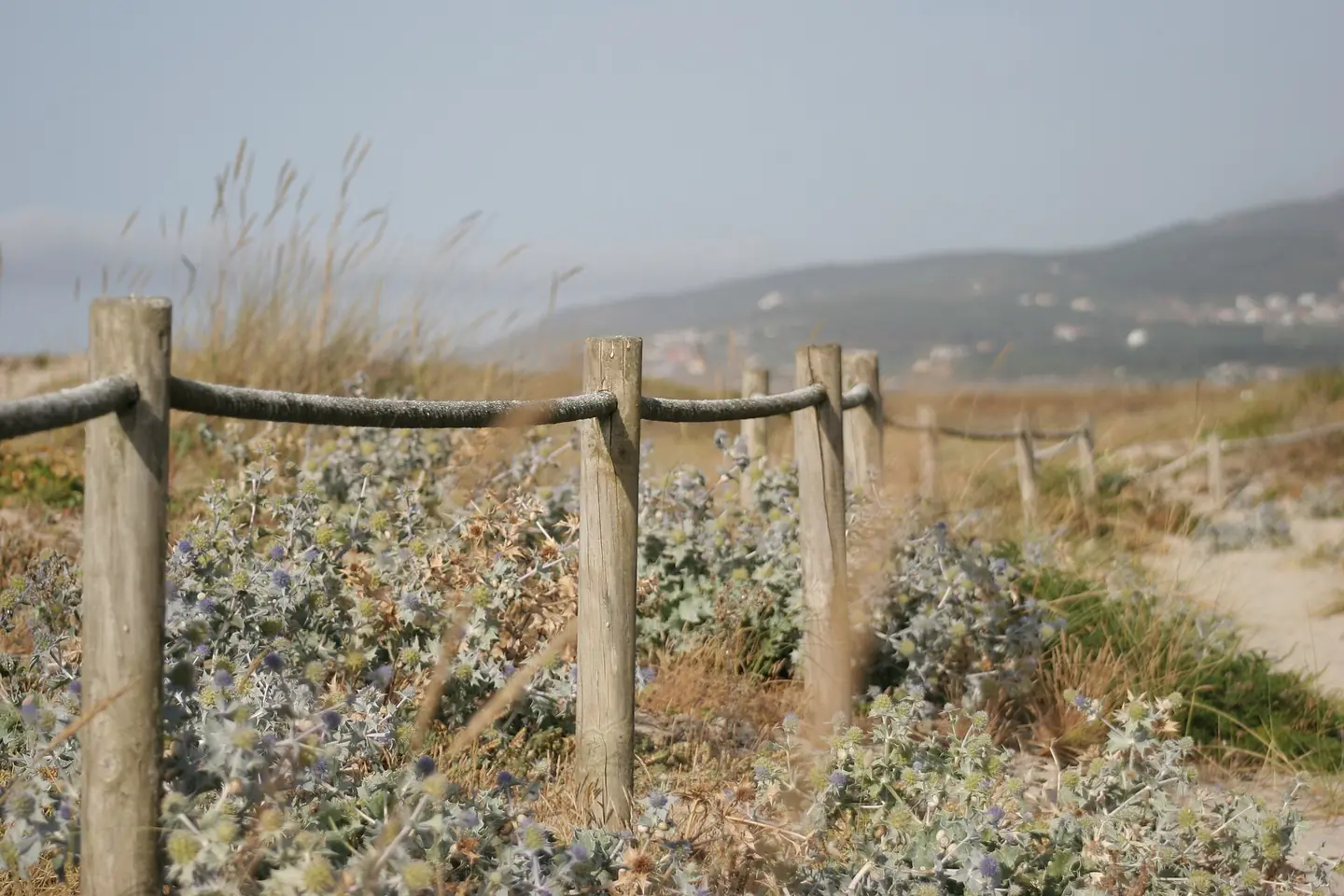 Razo beache (Galicia - Spain)