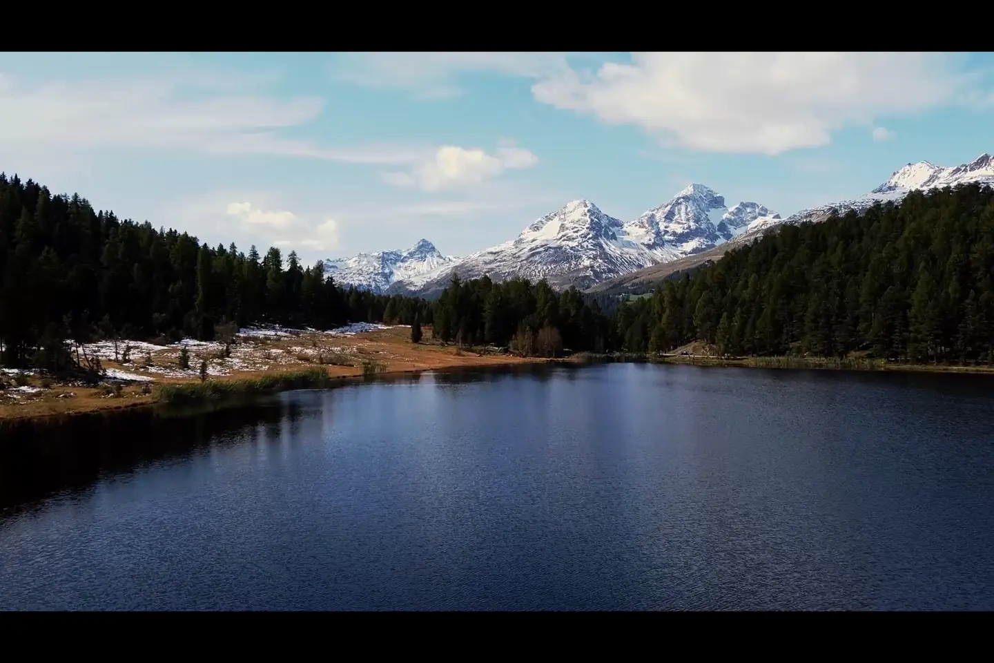 Swiss Nature