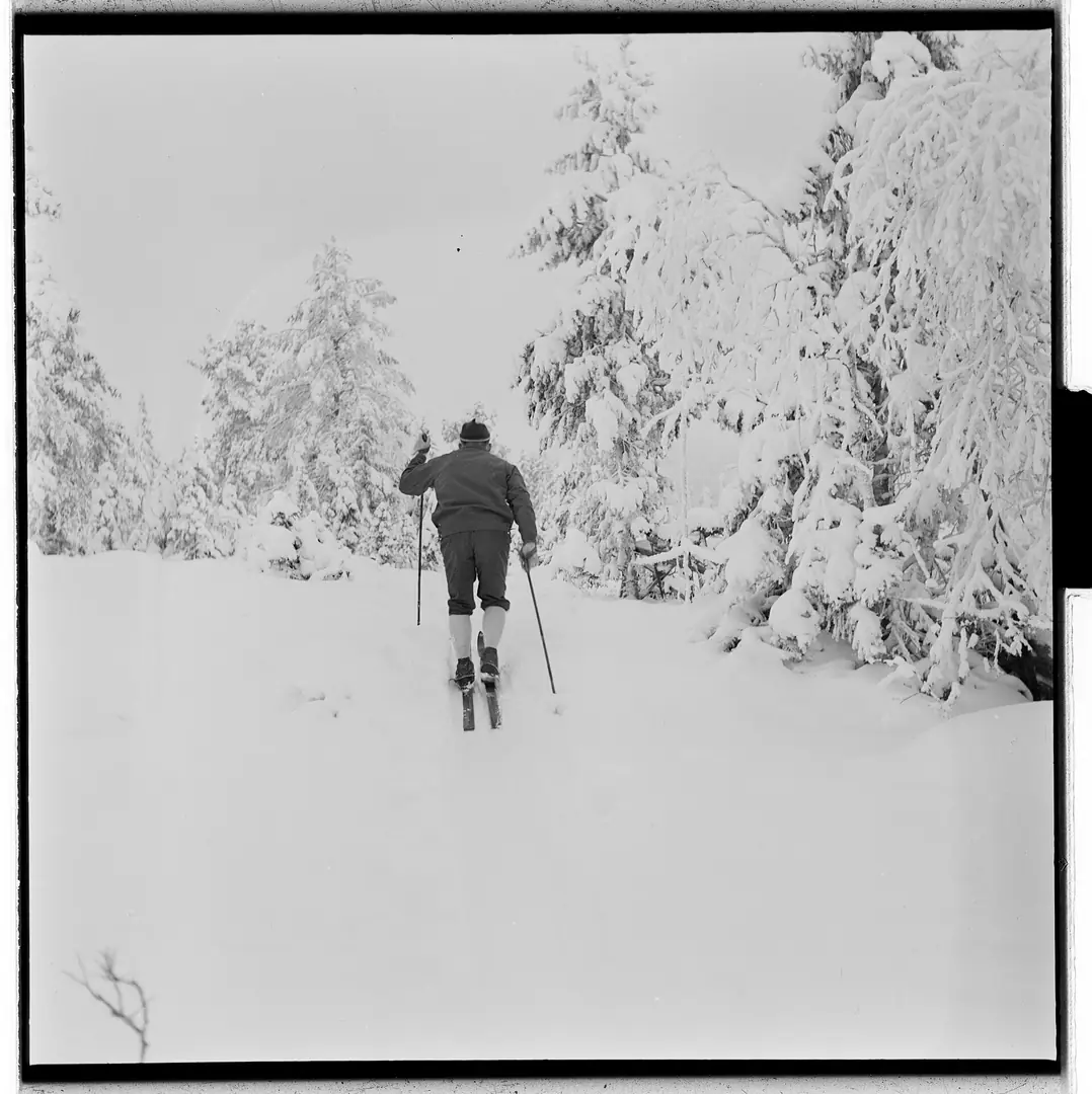 Hallgeir Brenden - Fo30141603170001