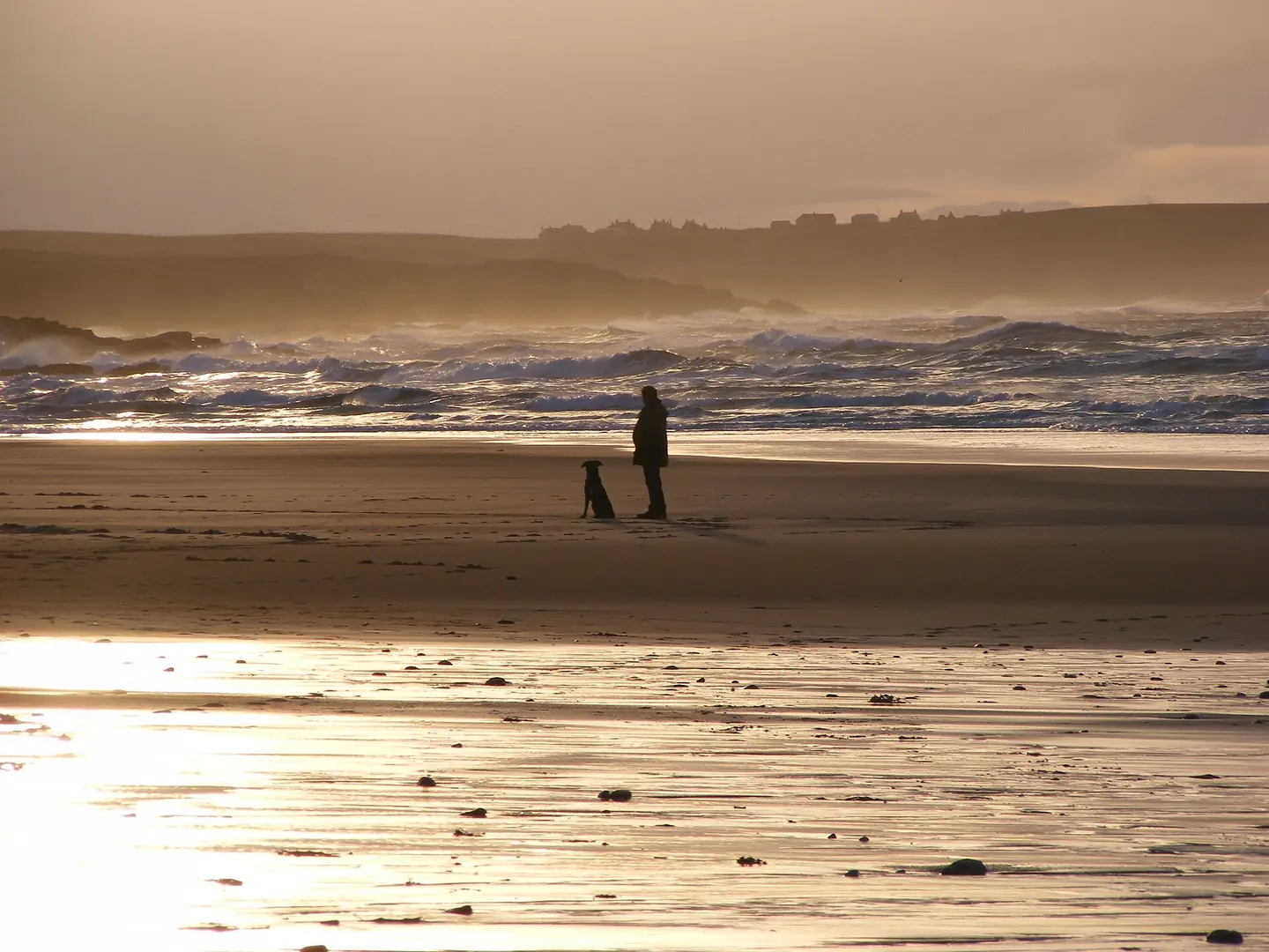 Dog walker on the beach at Eoropie , Isle of Lewis , Outer Hebrides , Scotland