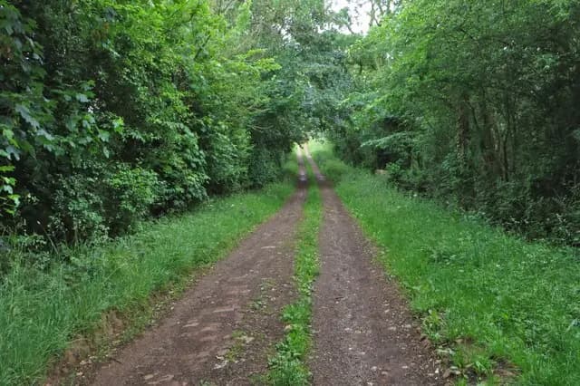 Bridleway towards the reservoir