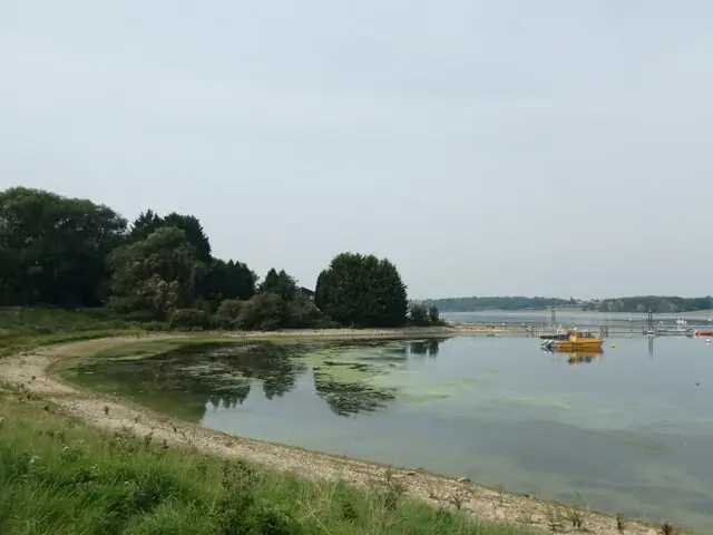 A bay in Rutland Water
