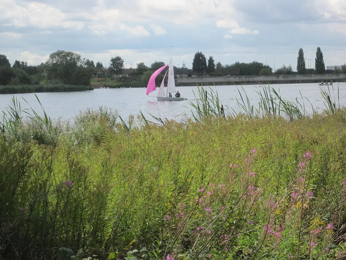 Sailing boats on Brent Reservoir from Welsh Harp Open Space, Brent, London