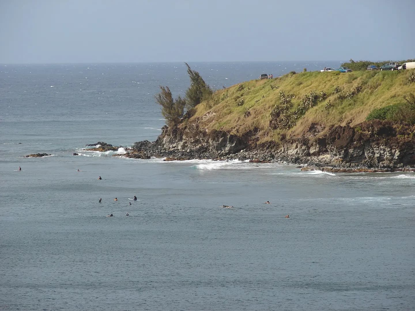 Casuarina equisetifolia (Ironwood) Habit and surfers at Honolua Bay, Maui, Hawaii. March 14, 2008 [ http://www.starrenvironmental.com/images/search/?q=080314-3418 #080314-3418</a> Image Use Policy