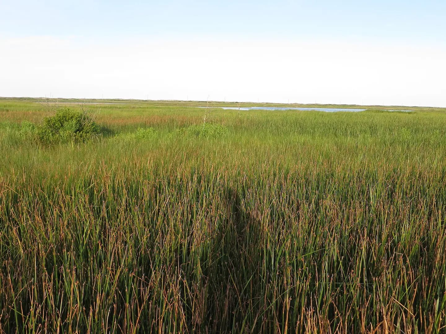 Bodie Island Lighthouse, Cape Hatteras National Seashore, Outer Banks, North Carolina