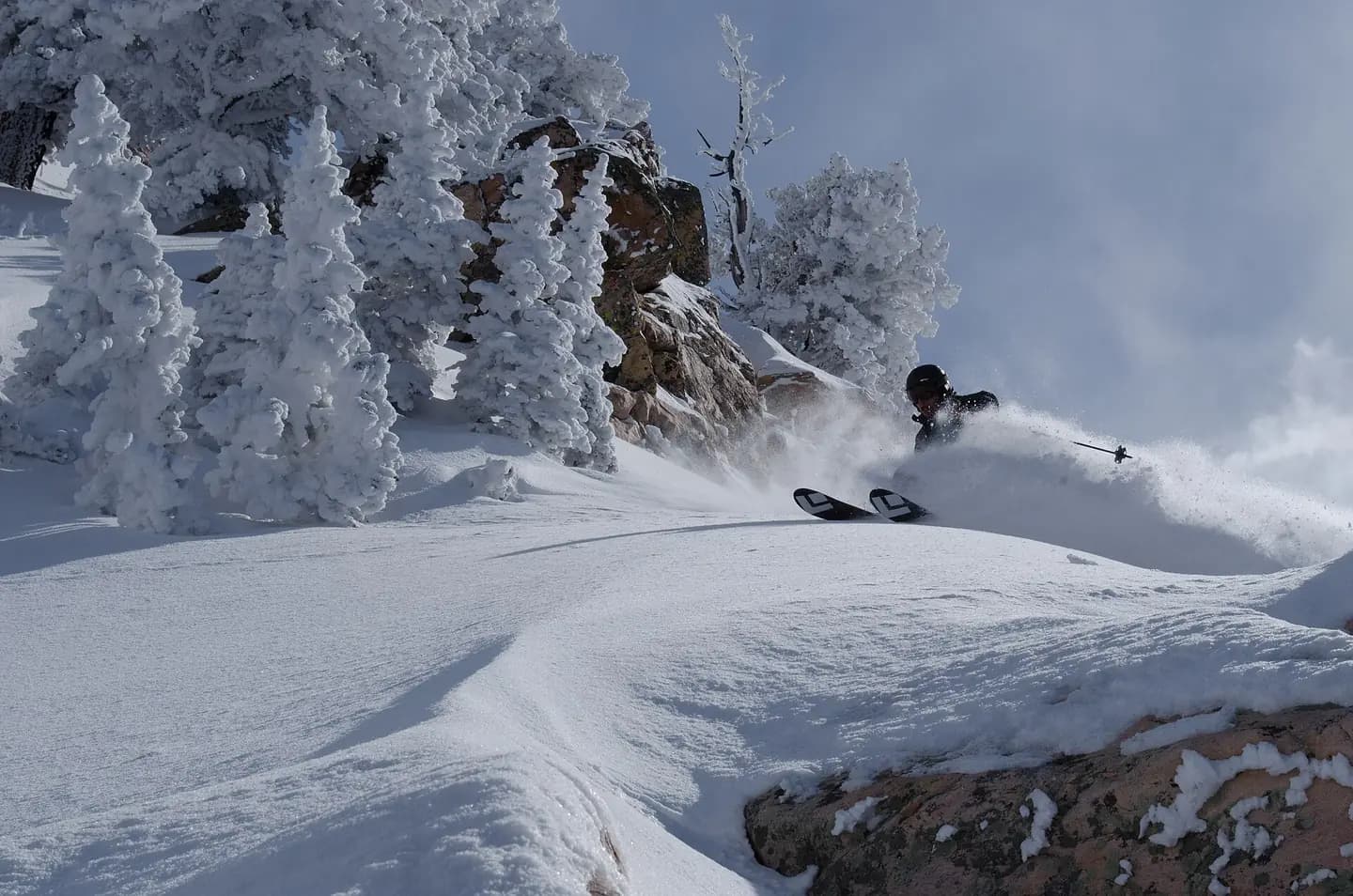 Spring Powder