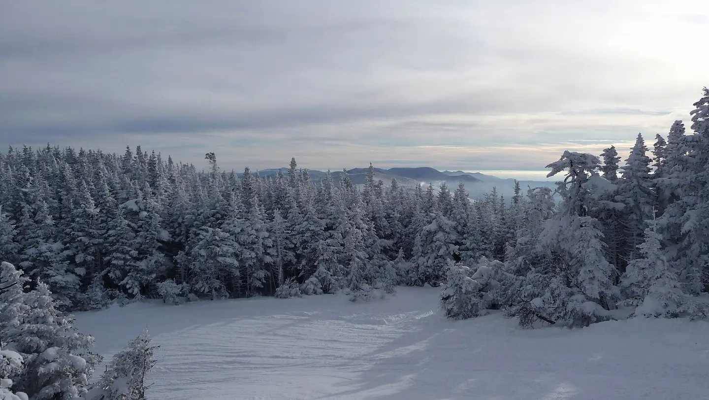 Upper Jester Ski trail, Sugarbush Resort, Warren