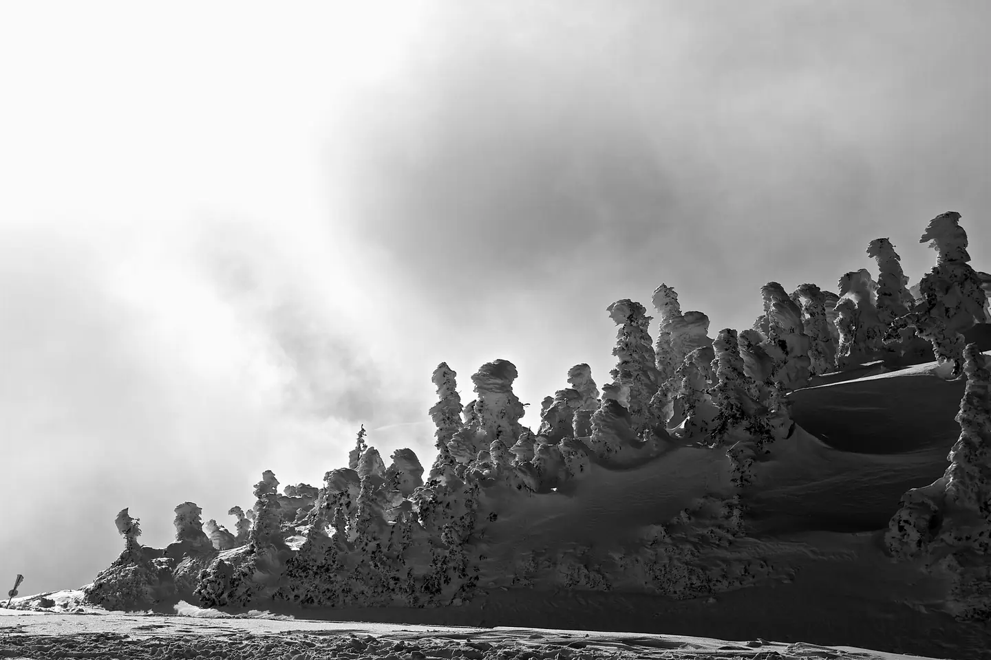 From the top of Wolf Creek ski area, here are some more of the crazy frozen trees I uploaded a while ago
