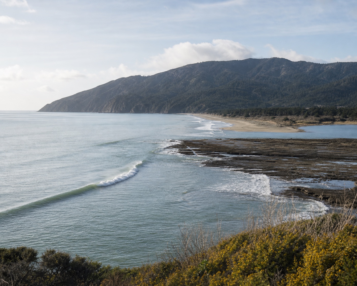 Bolinas surf peeling beside the lagoon mouth and exposed Duxbury Reef