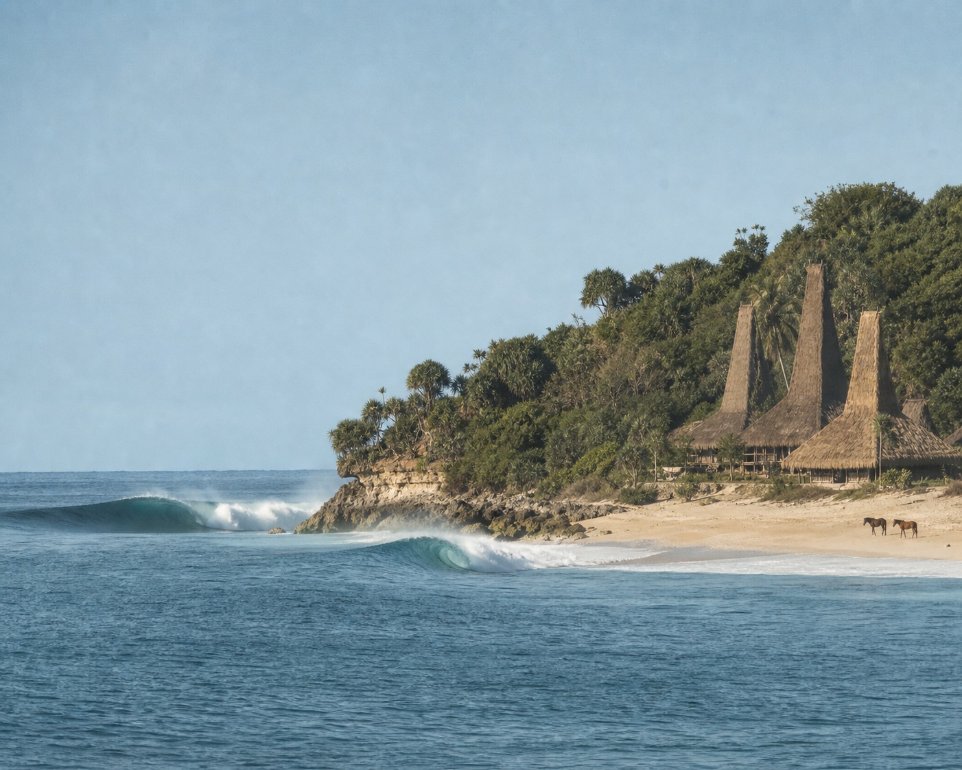 Occy's Left beneath Sumba's peaked thatch houses and Sandalwood horses